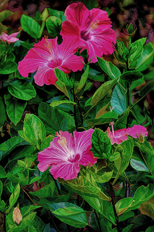 Red Hybiscus #2 C Verticle