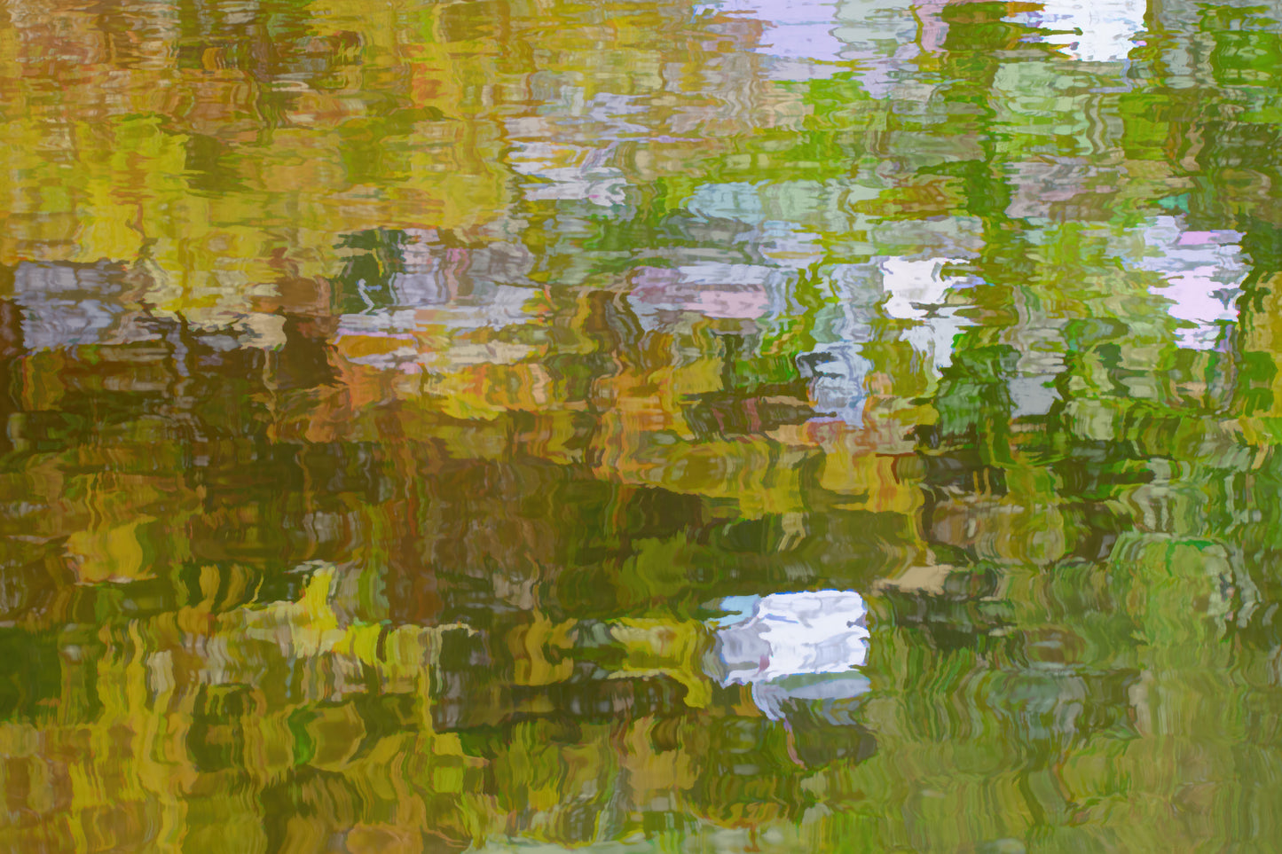 Water Reflection Green #1 C