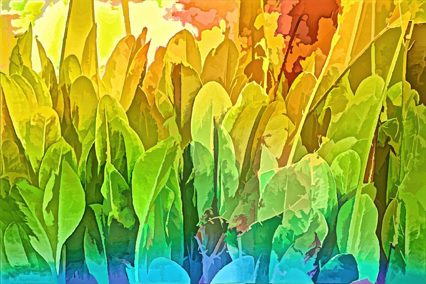 Wetland Greenery #1 C