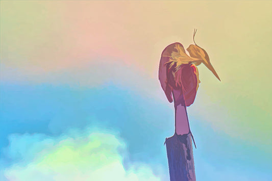 Great Blue Heron Against the Sky #1A