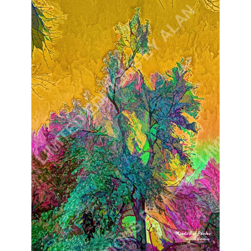 Autumn Tree On A Gold Sky Limited Edition Photo Art By Alan Goldberg