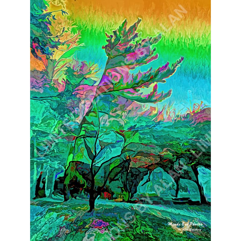 Autumn Tree On A Rainbow Sky Limited Edition Photo Art By Alan Goldberg