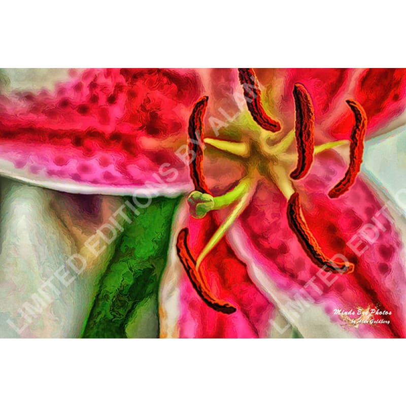 Close Up Of A Lilly In Acrylicdead Flowers Collection Limited Edition Photo Art By Alan Goldberg