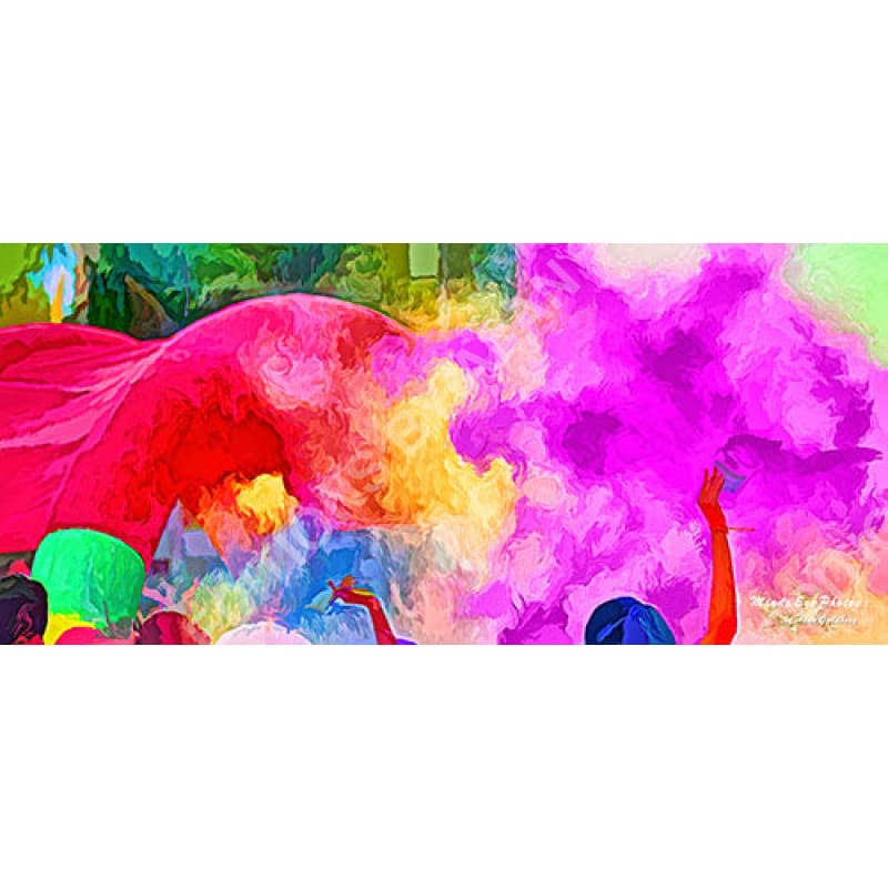 Color Run (Diwali) #1 In Acrylic Limited Edition Photo Art By Alan Goldberg