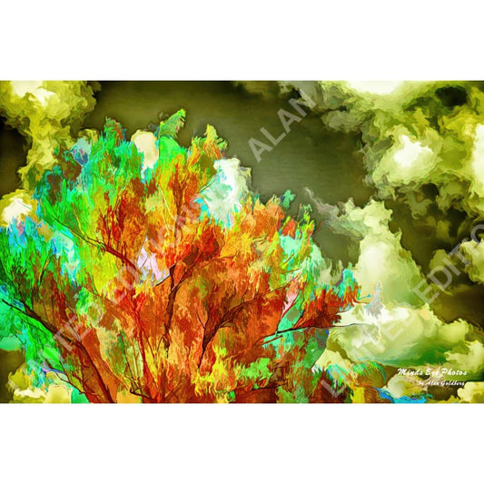 Burning Bush Limited Edition Photo Art By Alan Goldberg