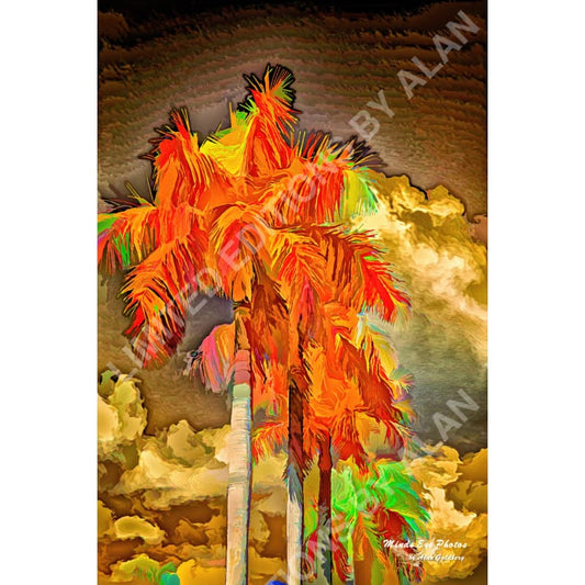 Orange Palm Tree Limited Edition Photo Art By Alan Goldberg