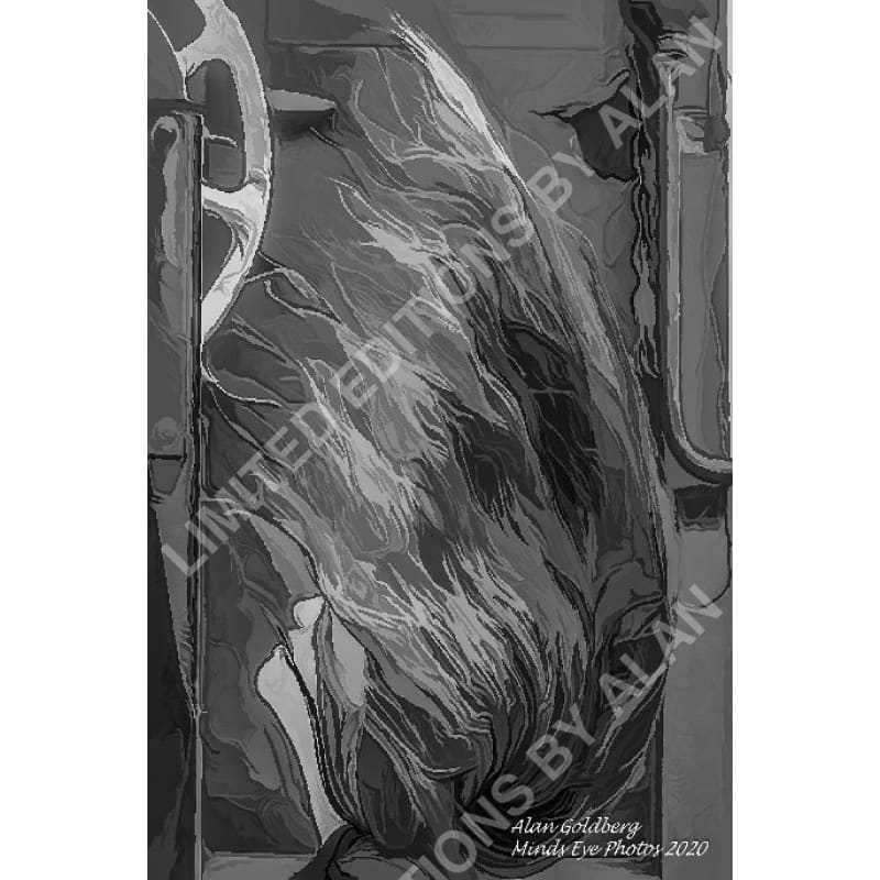 Hair Flip In Black And White Acrylic Limited Edition Photo Art By Alan Goldberg