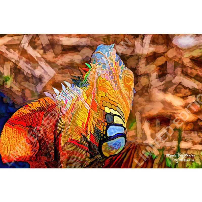 Iguana #1 Limited Edition Photo Art By Alan Goldberg