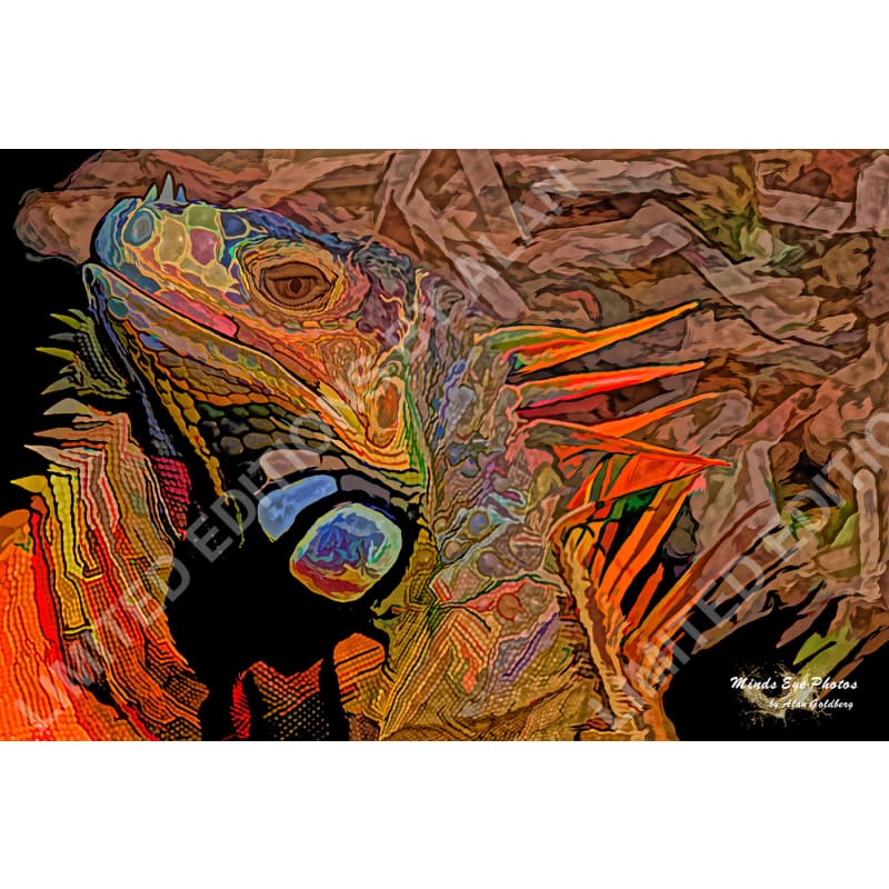 Iguana #2 Limited Edition Photo Art By Alan Goldberg