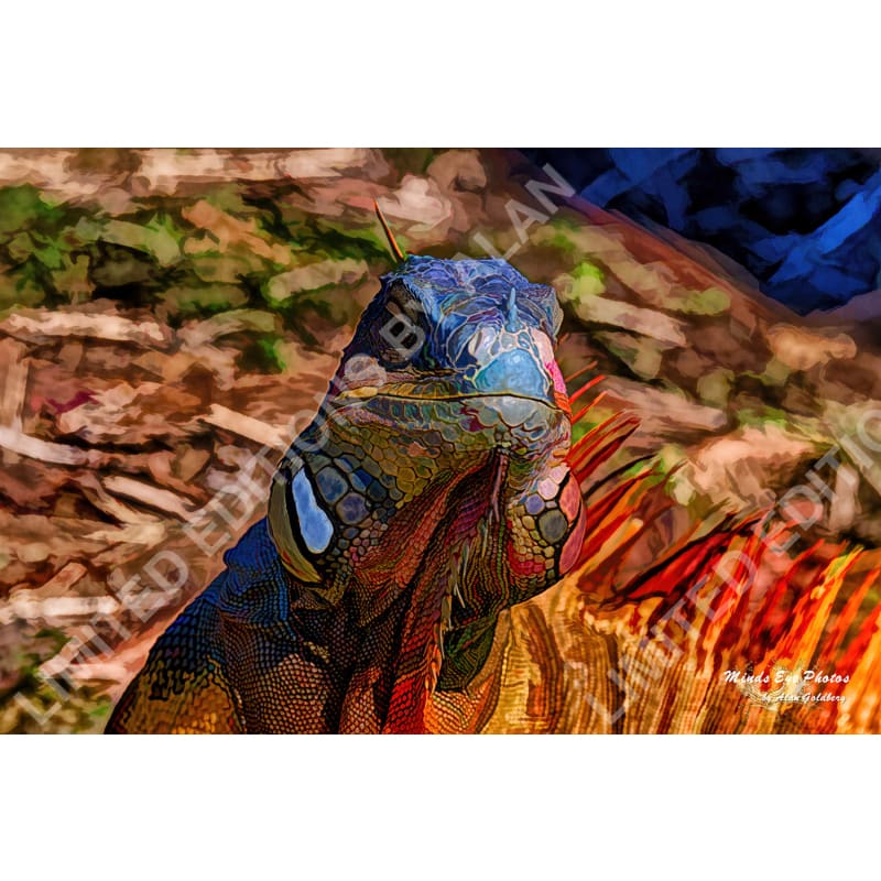 Iguana #4 Limited Edition Photo Art By Alan Goldberg