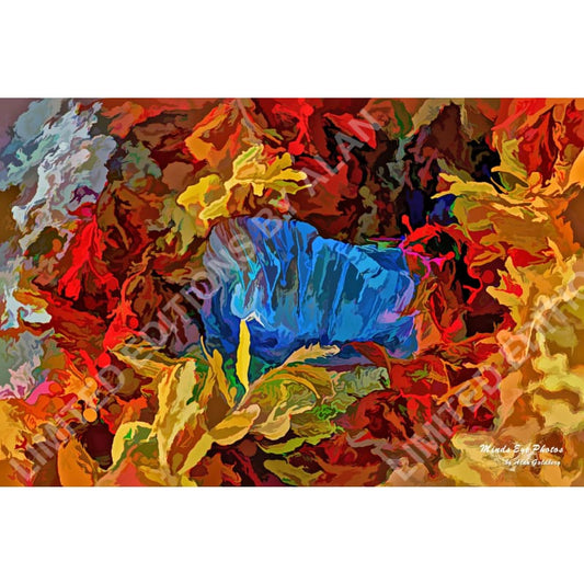 Man Of War Jellyfish In A Bed Seaweed Acrylic Look Photo Art