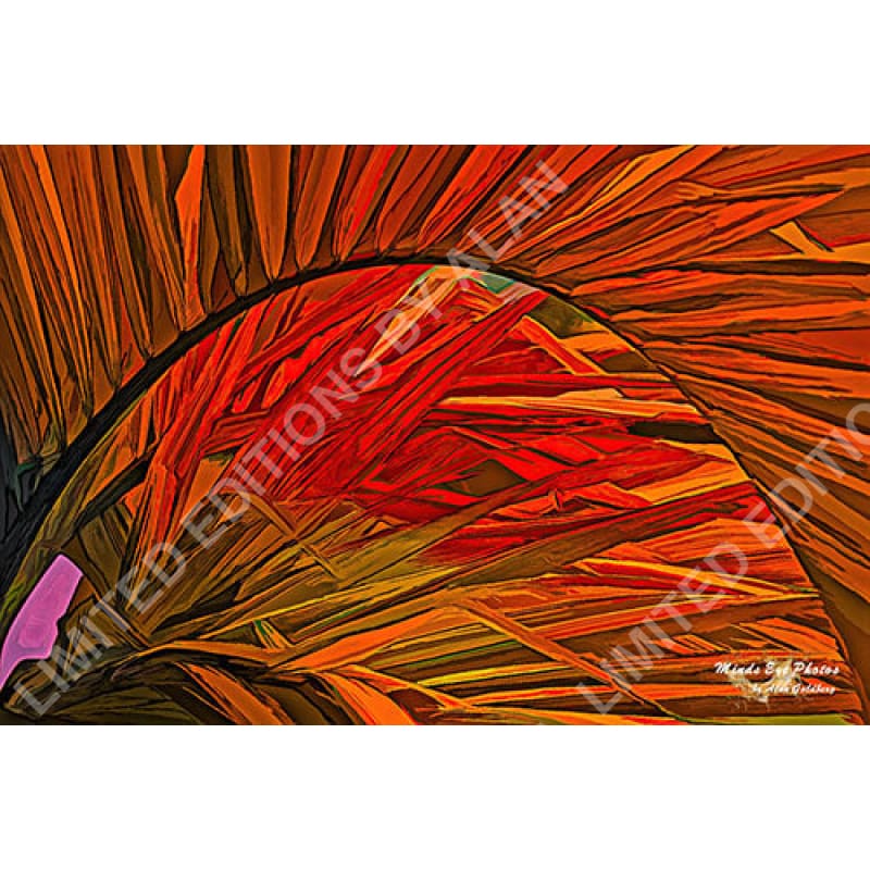 ’Orange Palm Leaves In Acrylic’ Limited Edition Photo Art By Alan Goldberg