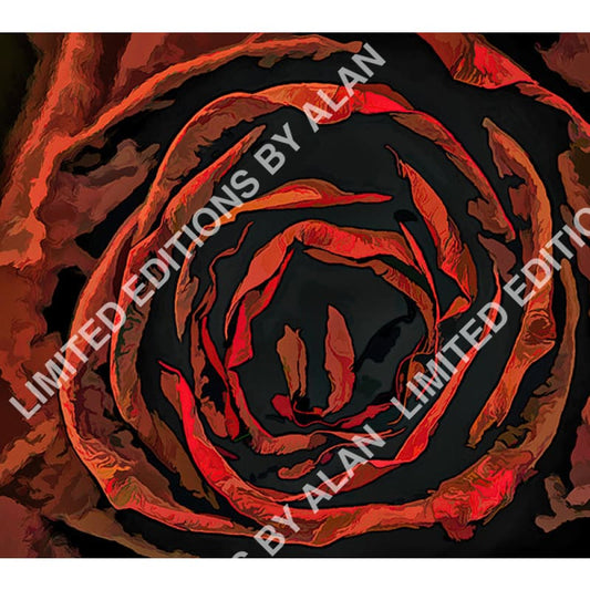 Dead Flowers Series Dead Red Rose In Acrylic - Flowers Collection By Alan Goldberg Photo Art