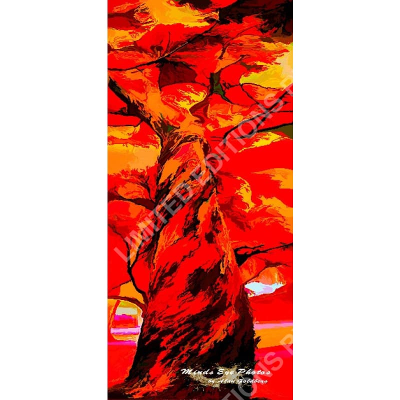 Red Tree In Acrylic Limited Edition Photo Art By Alan Goldberg